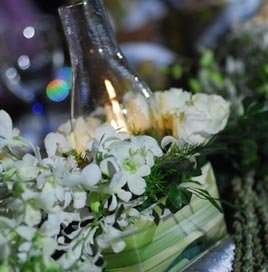 Weddings Planned by Marry Me Weddings