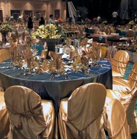 Weddings Planned by Marry Me Weddings