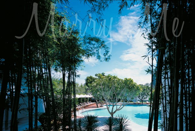 Pool-Hyatt-Thailand Pool-Hyatt-Thailand