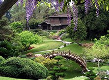 Planning a wedding in India